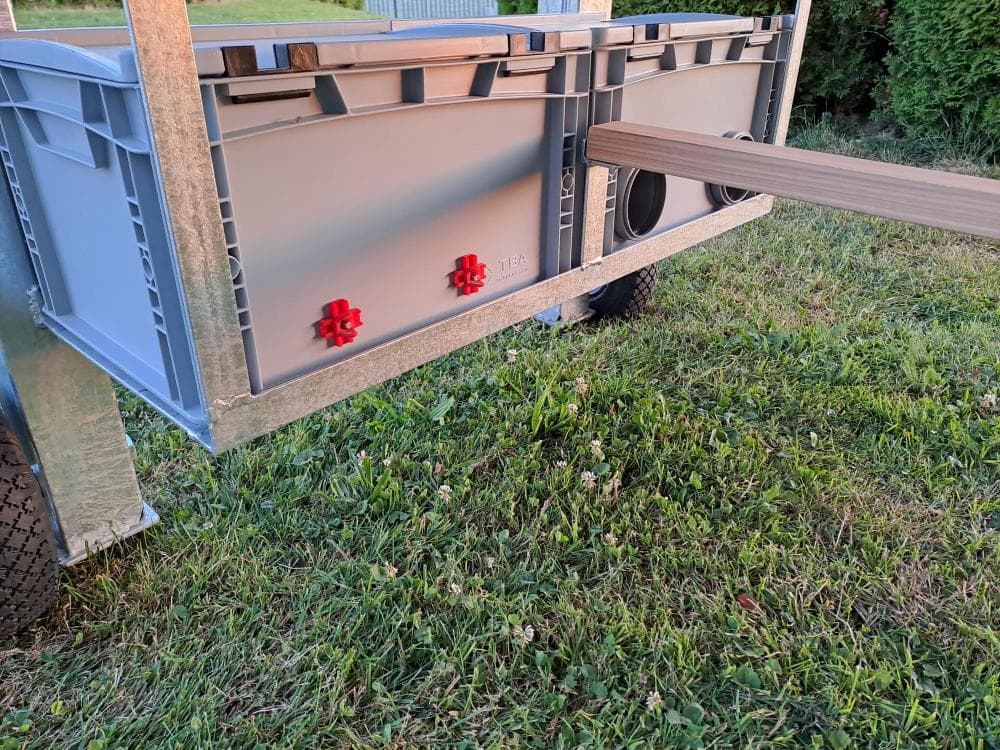 Detail borového dřeva